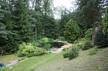 Obr: 45310.jpg