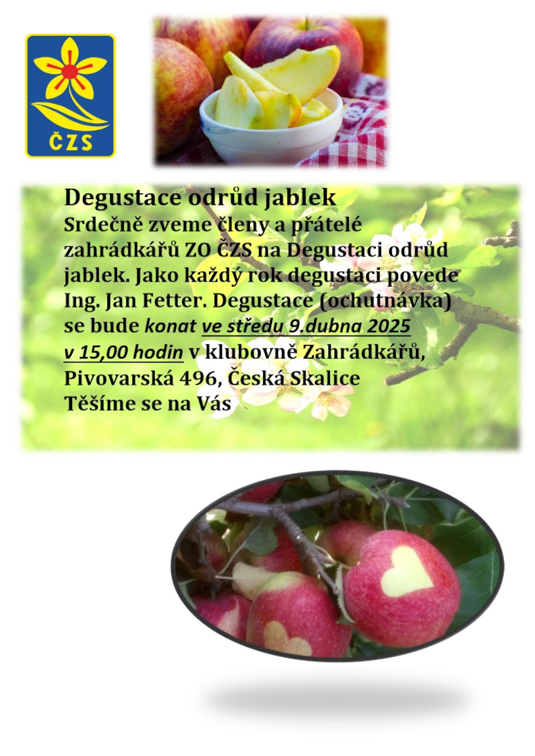 Degustace odrůd jablek Srdečně zveme členy a přátelé           zahrádkářů ZO ČZS na Degustaci odrůd jablek. Jako každý rok degustaci povede Ing. Jan Fetter. Degustace (ochutnávka) se bude konat ve středu 9.dubna 2025 v 15,00 hodin v klubovně Zahrádkářů, Pivovarská 496, Česká Skalice Těšíme se na Vás