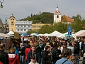 Obr: 10919.jpg