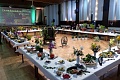 Obr: 32108.jpg