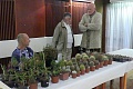 Obr: 32111.jpg