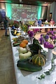Obr: 32114.jpg