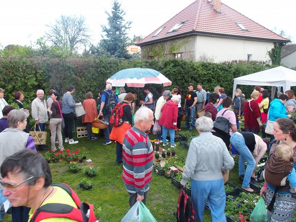 Obr: 24492.jpg