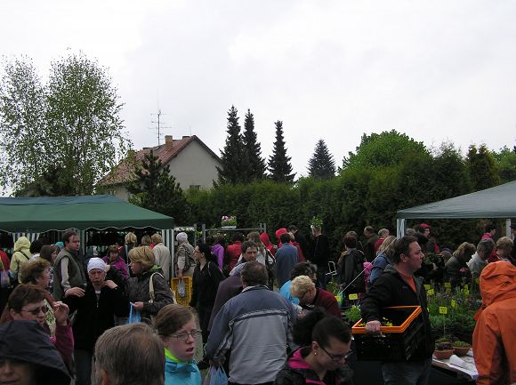 Obr: 9282.jpg