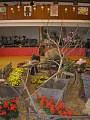 Obr: 13451.jpg