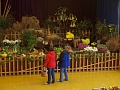 Obr: 14567.jpg