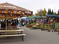Obr: 14568.jpg