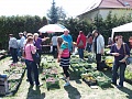 Obr: 16709.jpg