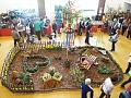 Obr: 24482.jpg