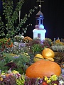 Obr: 24507.jpg