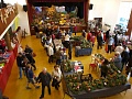 Obr: 24512.jpg
