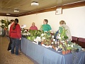 Obr: 24526.jpg