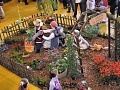 Obr: 6186.jpg