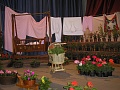 Obr: 8425.jpg