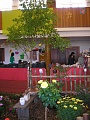 Obr: 8428.jpg