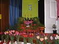 Obr: 8795.jpg