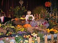 Obr: 8979.jpg