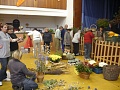 Obr: 8998.jpg