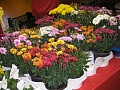 Obr: 9012.jpg