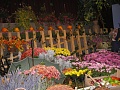 Obr: 9016.jpg