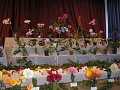 Obr: 9064.jpg