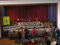 Obr: 9065.jpg