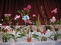 Obr: 9067.jpg