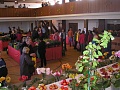 Obr: 9070.jpg