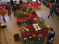 Obr: 9071.jpg