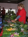 Obr: 9072.jpg