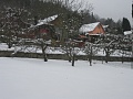 Obr: 29407.jpg