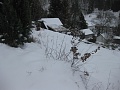 Obr: 29411.jpg