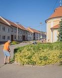 Obr: 44230.jpg