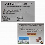 Obr: 46687.jpg