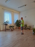 Obr: 46688.jpg