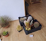 Obr: 46690.jpg