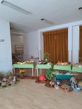 Obr: 46691.jpg