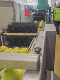 Obr: 46748.jpg