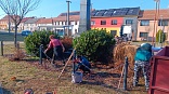 Obr: 47670.jpg