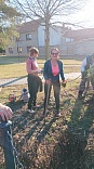 Obr: 47674.jpg