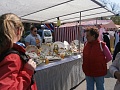 Obr: 10470.jpg