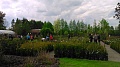 Obr: 10870.jpg