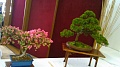 Obr: 11074.jpg