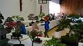 Obr: 11099.jpg