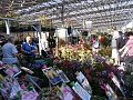 Obr: 12055.jpg
