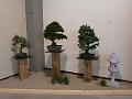 Obr: 12061.jpg