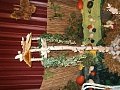 Obr: 14249.jpg