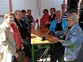 Obr: 16242.jpg
