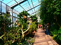 Obr: 20040.jpg