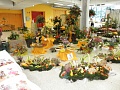 Obr: 23499.jpg